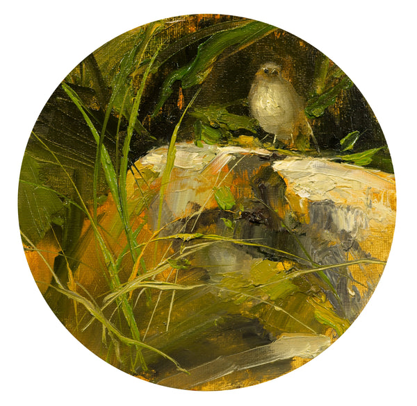Robin