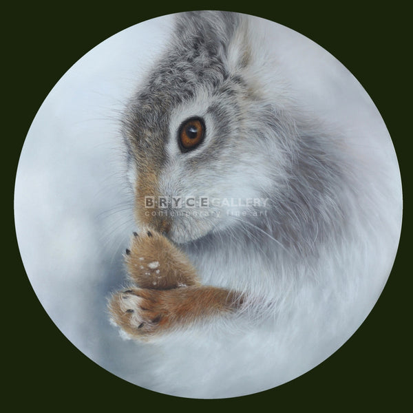 Hare Of A Whisker Pastel