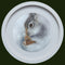 Hare Of A Whisker Pastel