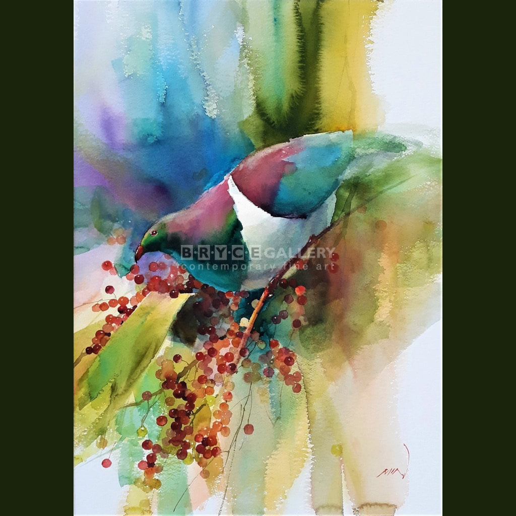 Kereru Wood Pigeon Paintings