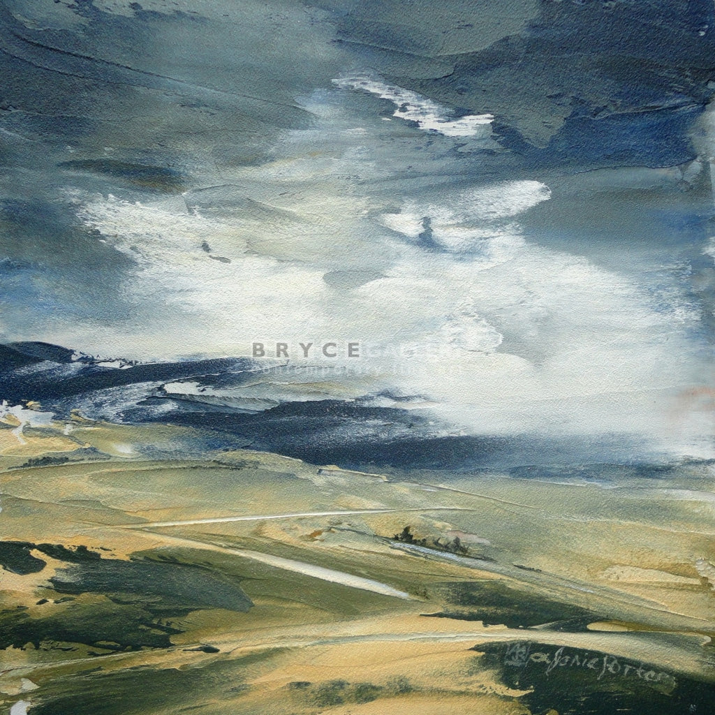 Stormy Skies Paintings