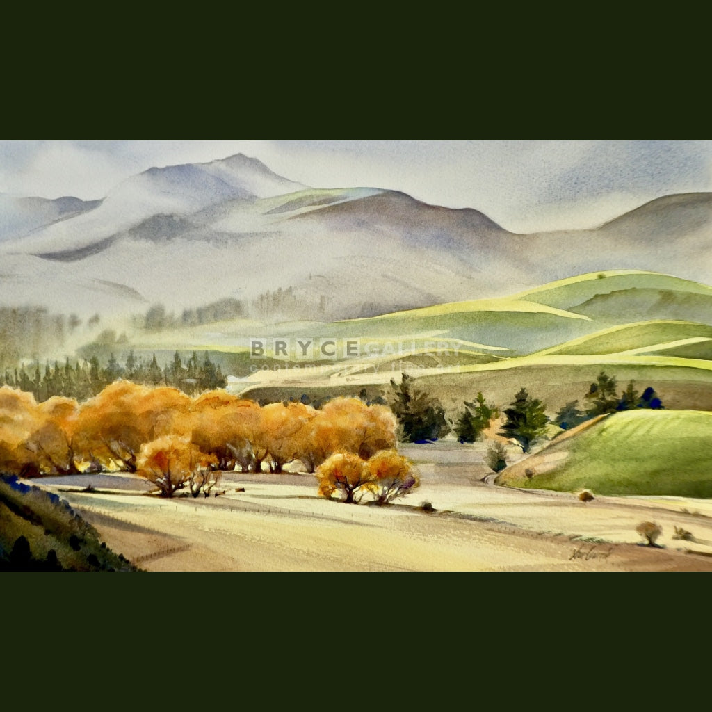 Sue Currie Painting