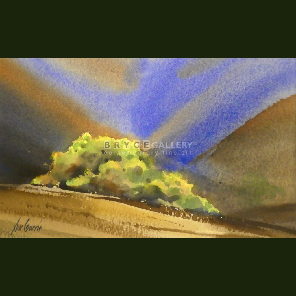 Sue Currie Paintings