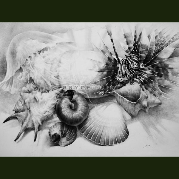 The Oceans Story Drawing